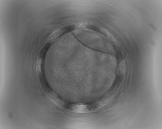 X0000115370217200912011140