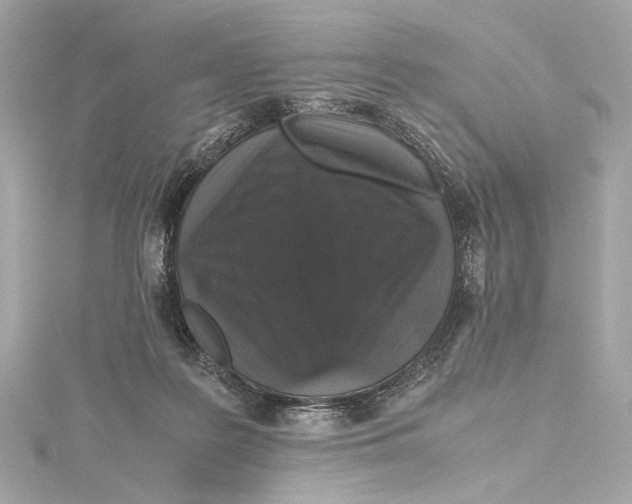 X0000115370219200912011140