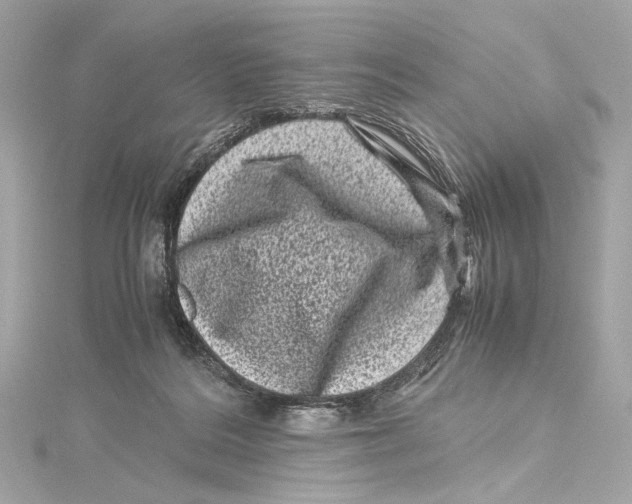 X0000115370220200912011140