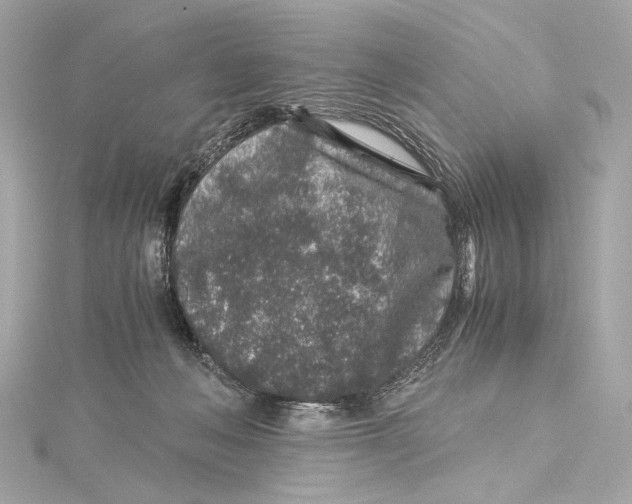 X0000115370222200912011140