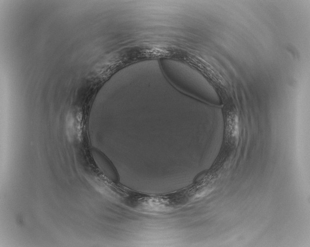 X0000115370223200912011140