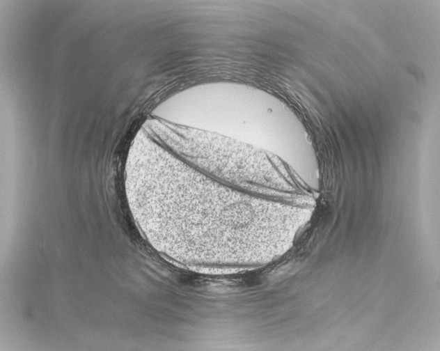 X0000115370229200912011140