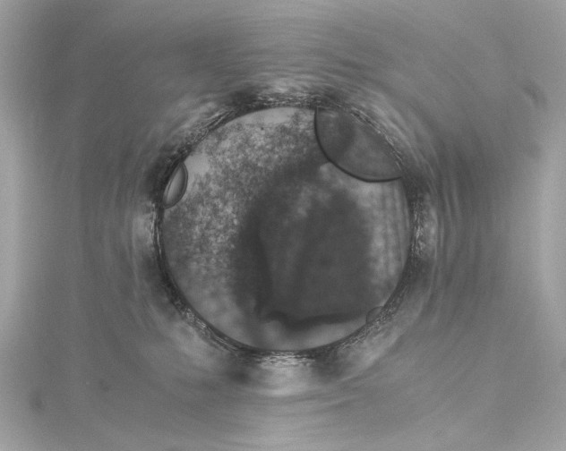 X0000115370231200912011140