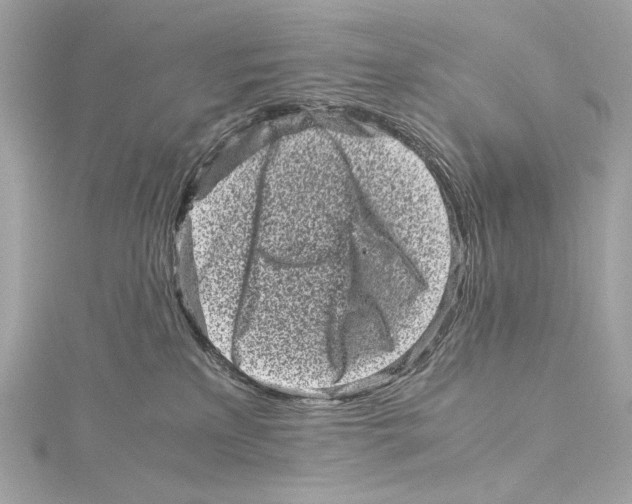 X0000115370233200912011140