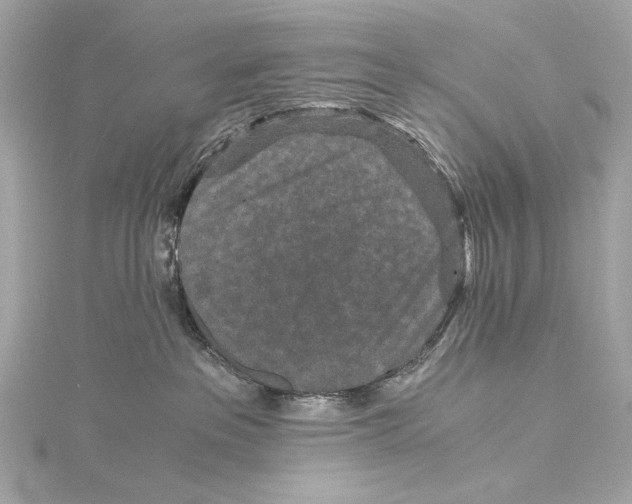 X0000115370237200912011140