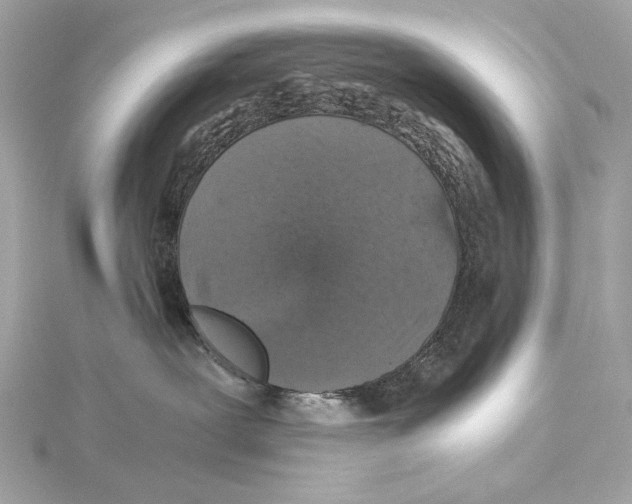 X0000115370239200912011140