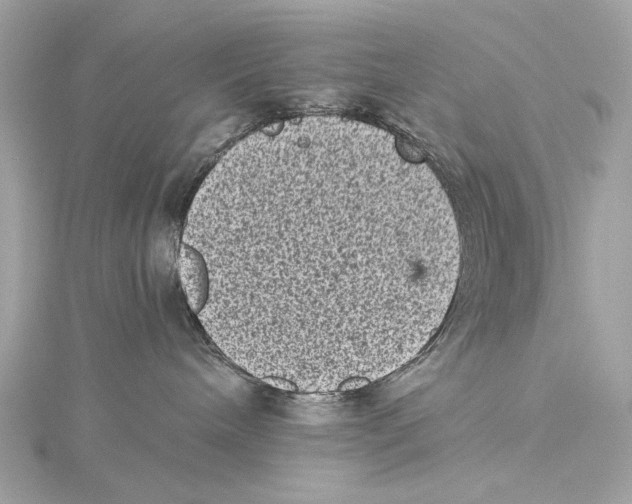 X0000115370240200912011140