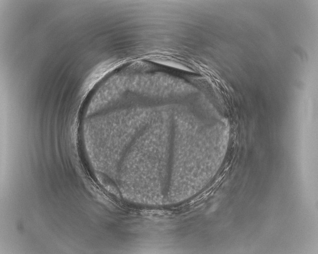 X0000115370242200912011139