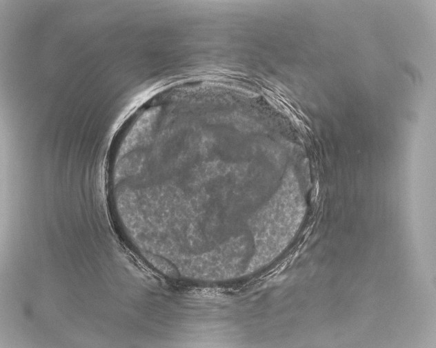 X0000115370244200912011139