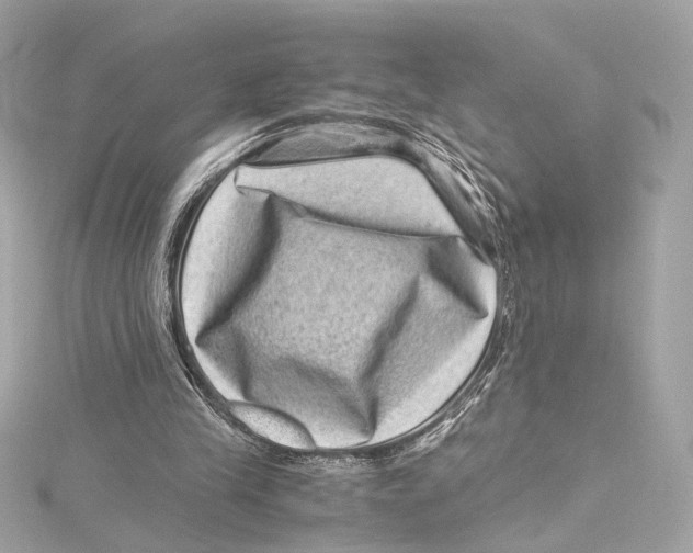 X0000115370245200912011139