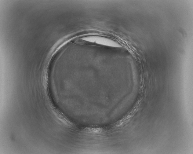 X0000115370247200912011139