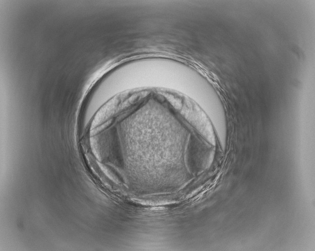 X0000115370248200912011139