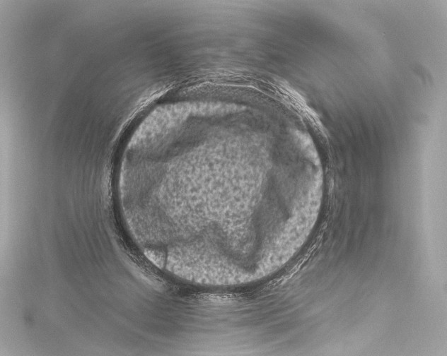 X0000115370250200912011139