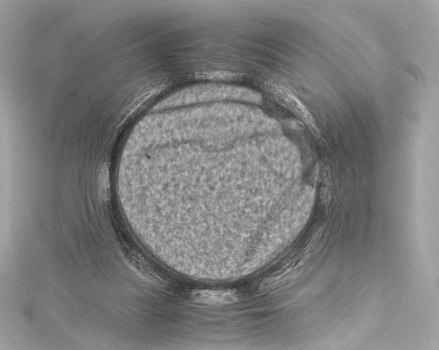 X0000115370251200912011139