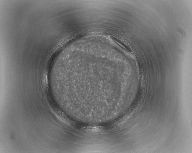 X0000115370254200912011139