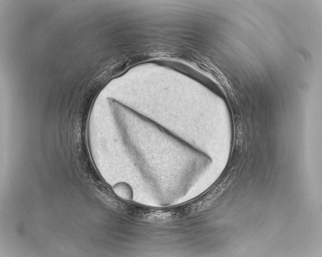 X0000115370257200912011139