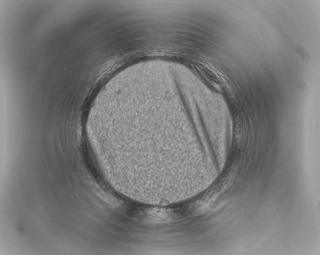 X0000115370261200912011139