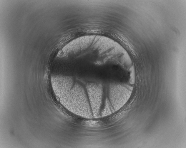 X0000115370265200912011139