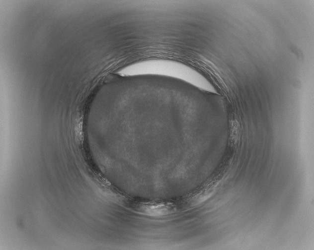 X0000115370267200912011139