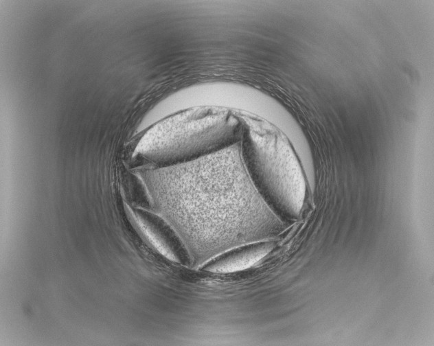 X0000115370272200912011139