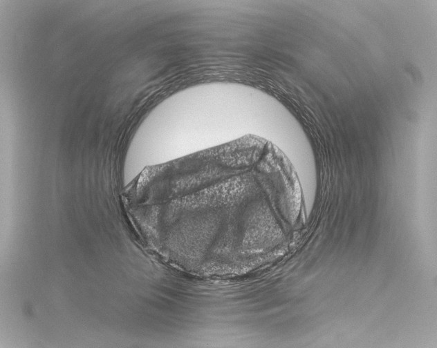 X0000115370276200912011139