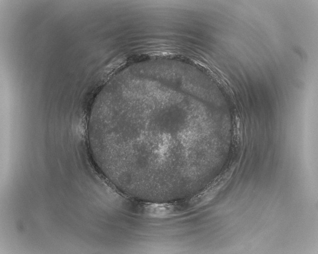 X0000115370277200912011139