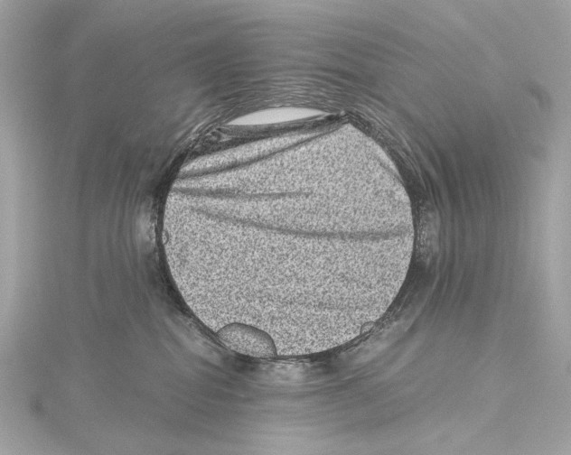 X0000115370282200912011139