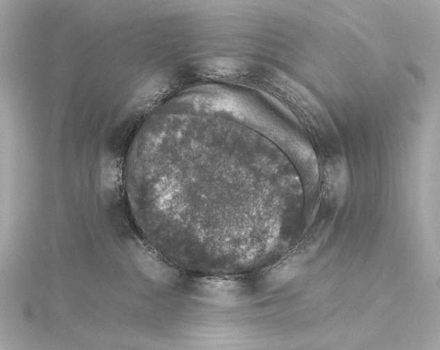 X0000115370284200912011139