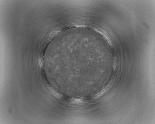 X0000115370285200912011139