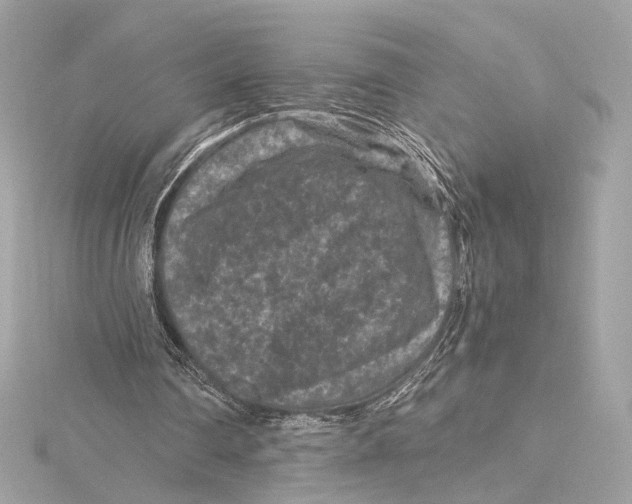 X0000115370290200912011139