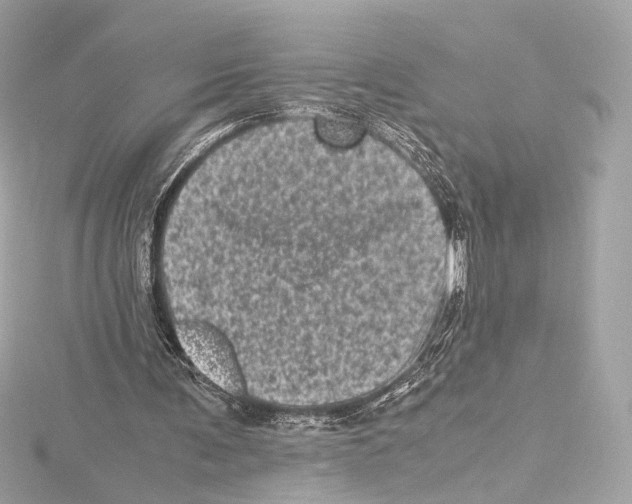 X0000115370291200912011139