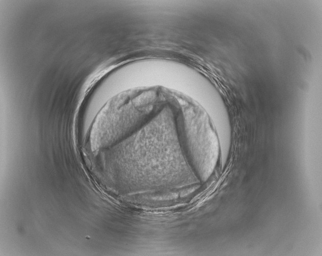 X0000115370294200912011139