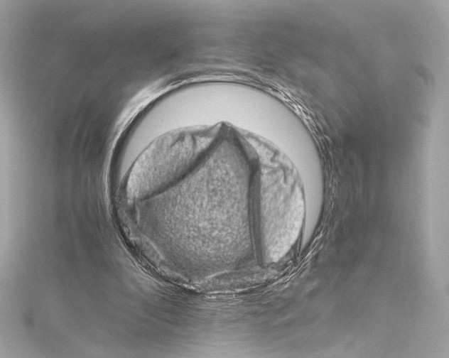 X0000115370296200912011139