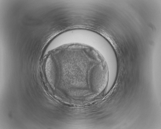 X0000115370297200912011139