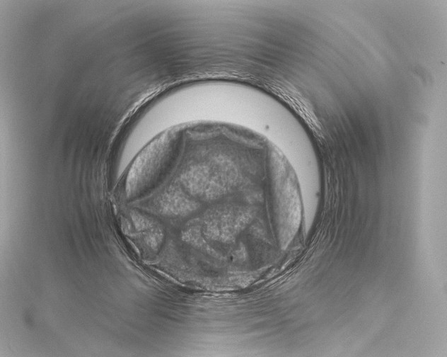 X0000115370300200912011139