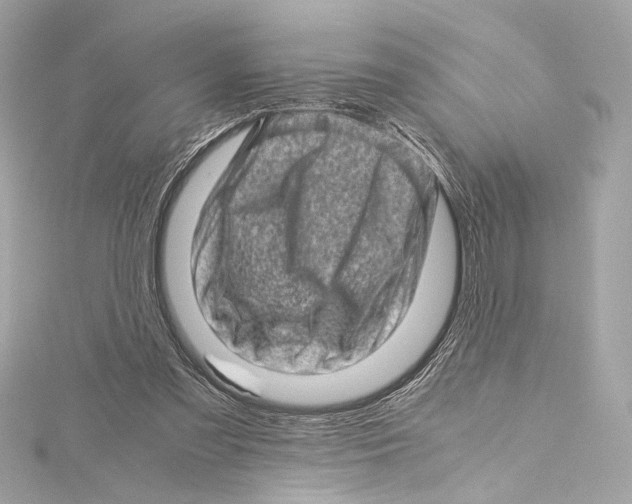 X0000115370301200912011139