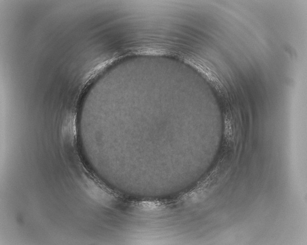 X0000115370302200912011139