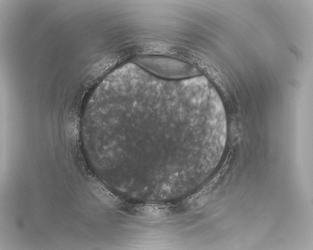 X0000115370305200912011139