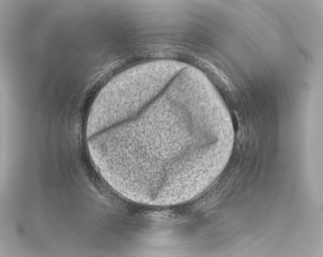 X0000115370306200912011139