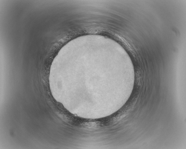 X0000115370307200912011139