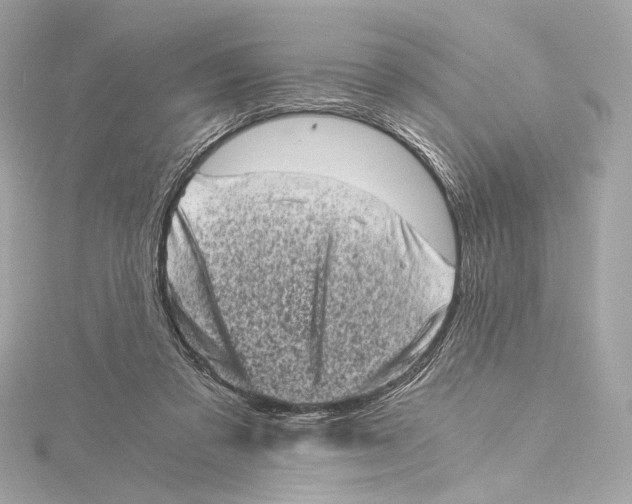 X0000115370309200912011139