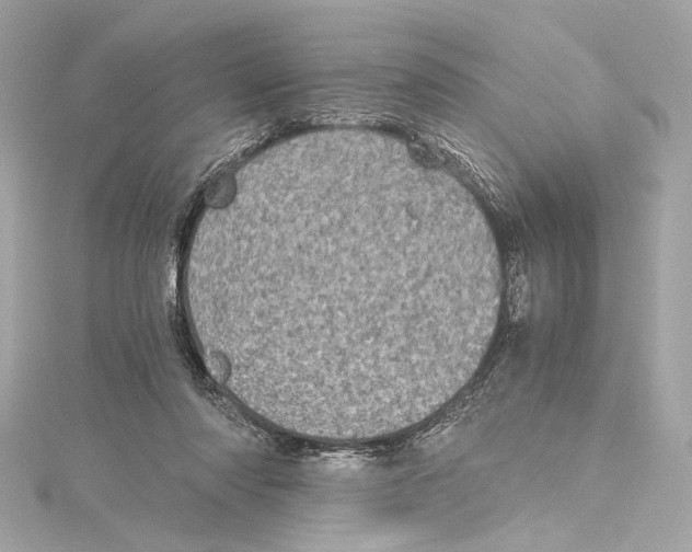 X0000115370310200912011139