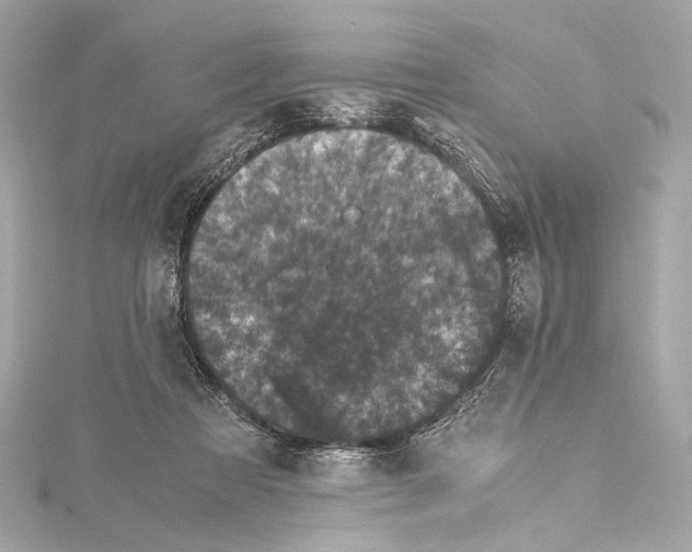 X0000115370313200912011139