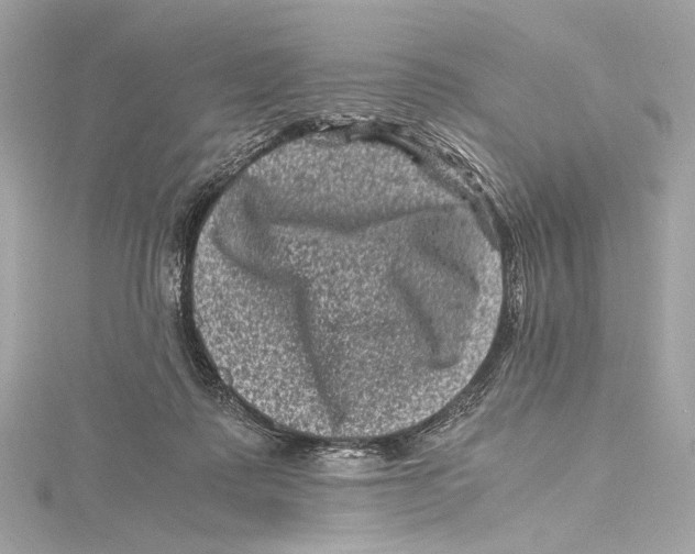 X0000115370315200912011139