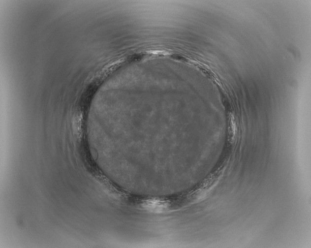 X0000115370319200912011139