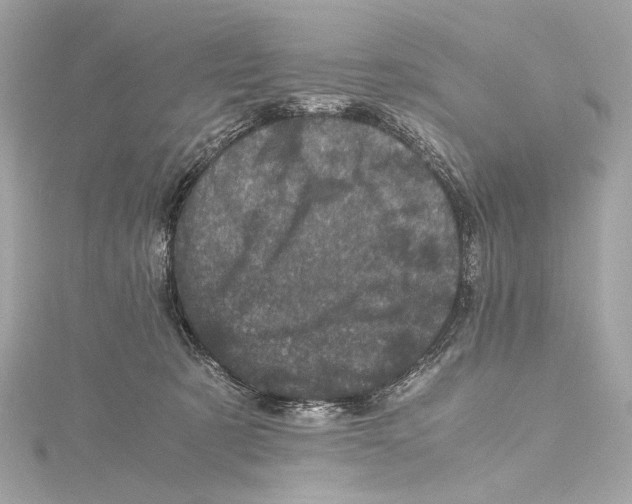 X0000115370321200912011139