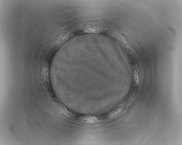 X0000115370322200912011139