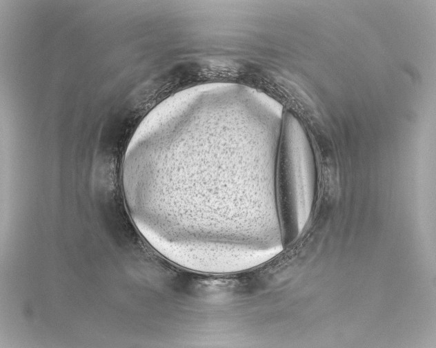 X0000115370323200912011138