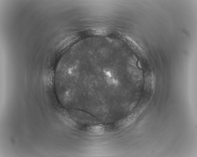 X0000115370325200912011138