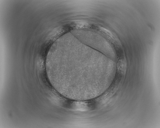 X0000115370327200912011138